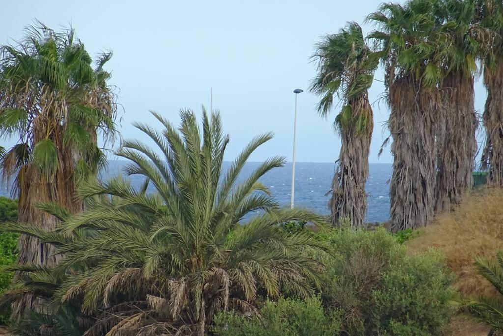 Casa Los Altos Torrevieja - Orihuela Costaヴィラ エクステリア 写真
